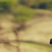 Professional Surveying Services Land Surveying Services Property Fence Lin Perham MN