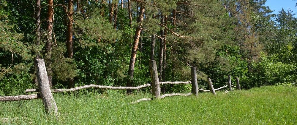 boundary survey accuracy