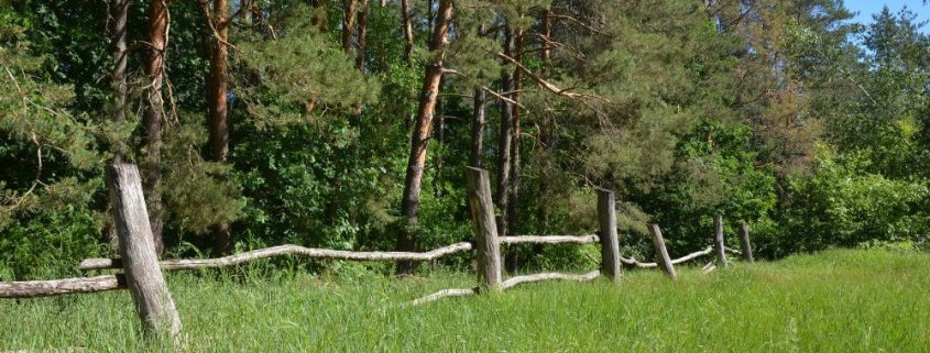 boundary survey accuracy