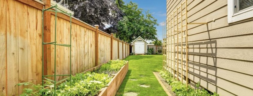 fences and property lines