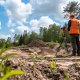 The Critical Role of Surveyors in Environmental Assessments Shaping Sustainable Development