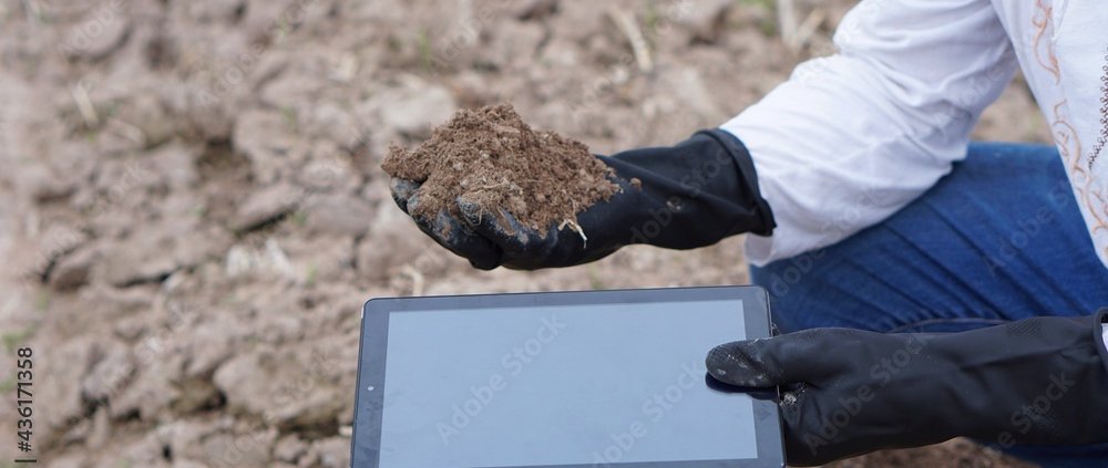 Hands in black gloves hold a smart tablet and soil