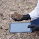 Hands in black gloves hold a smart tablet and soil