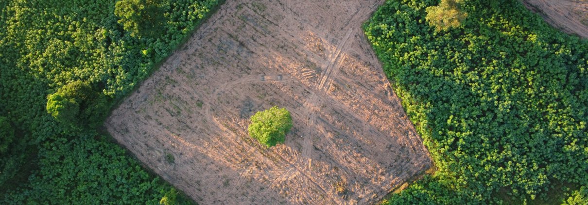 land plot in aerial view