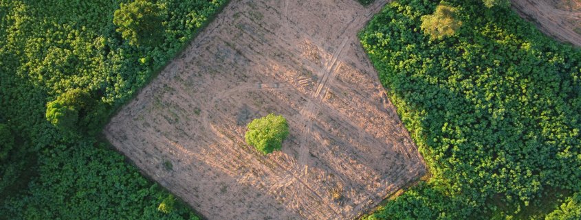 land plot in aerial view