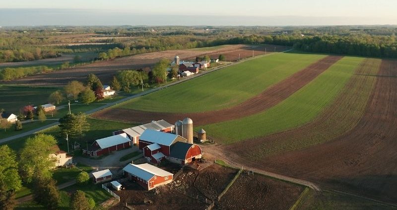 Aerial view of a rural farmstead with red barns, silos, and fenced pastures surrounded by large green and brown crop fields, tree-lined roads, and gently rolling countryside.